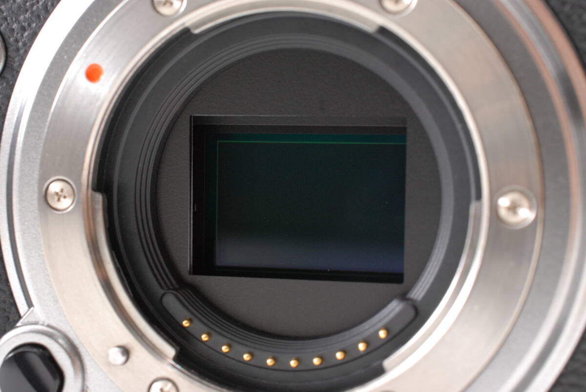 【超美品 保障付 動作確認済】Fujifilm X-T4 Silver Body フジフィルム ミラーレス一眼カメラ + 16-80mm f/4 R OIS WR Zoom Lens #Q6464の画像5