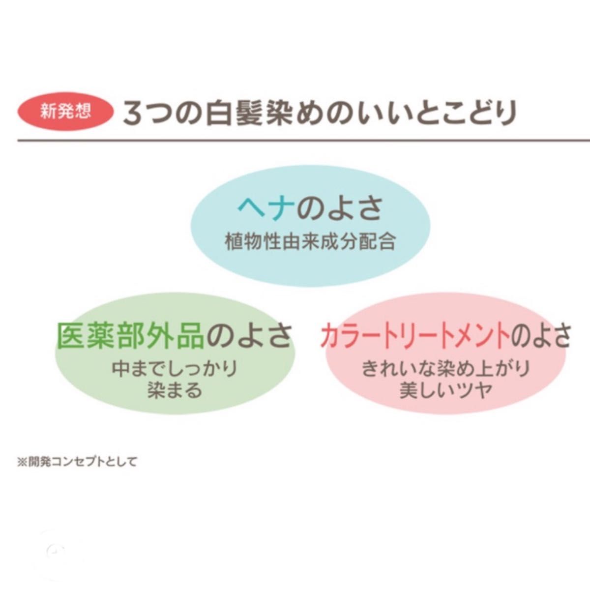 ハーバルシーズンズ　白髪染め　ダークブラウン　80g × ３個