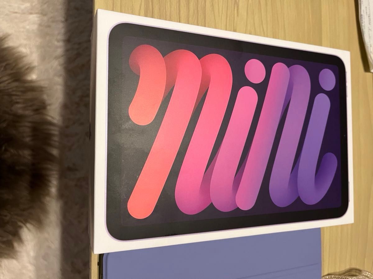 iPad mini第6世代 64G 充電器あり 箱あり Apple iPad mini iPad mini第6世代 64G 充電器あり 箱あり Apple iPad mini