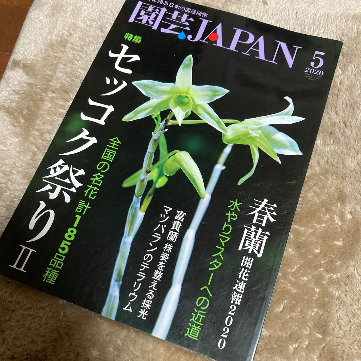  садоводство JAPAN 2020 год 5 месяц номер богатство и знатность орхидея длина сырой орхидея весна орхидея matsu аспидистра 