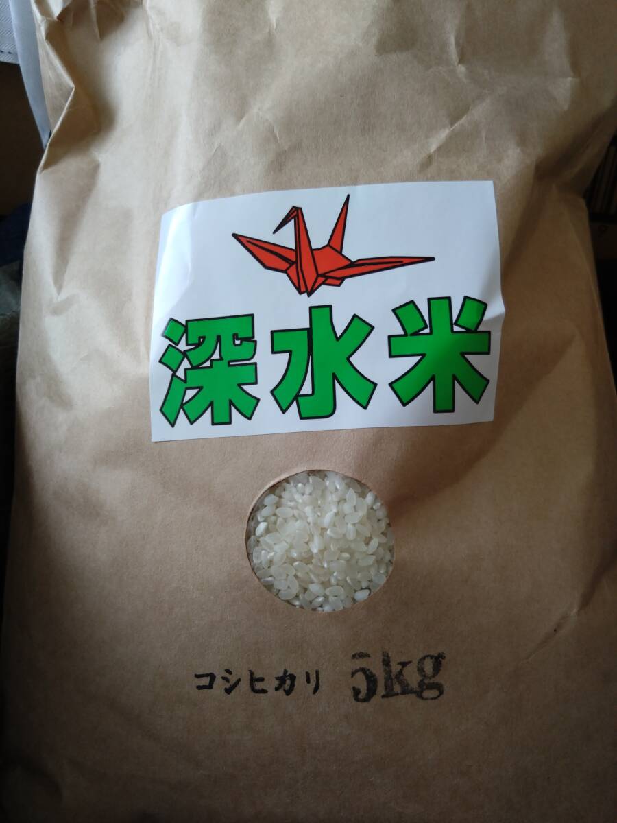  agriculture house direct stock special price Tochigi prefecture production Koshihikari . peace 5 year production 5kg free shipping several possible 