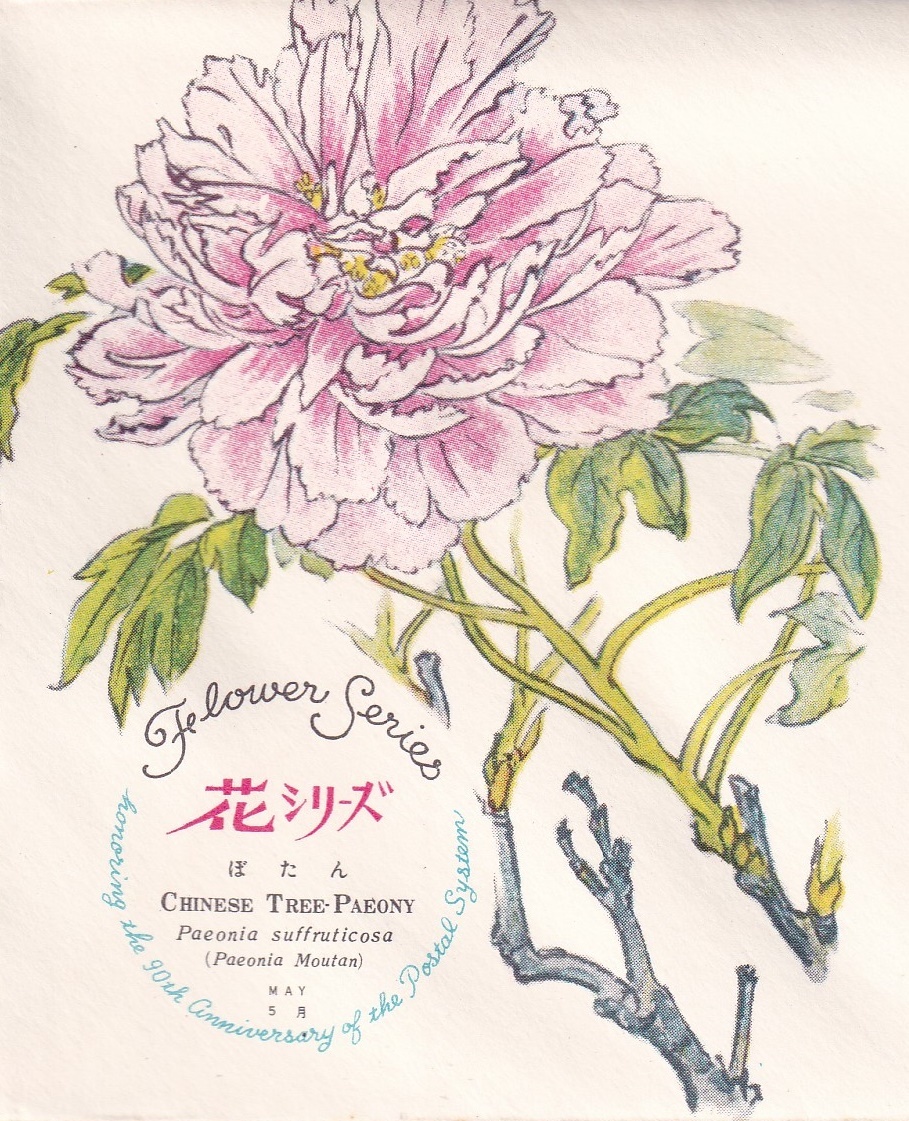 【303】花シリーズ「ぼたん」 NCC版 昭和36年5月25日発行 説明書入り （東京中央） の画像2