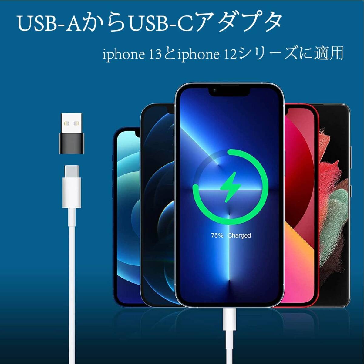 【特価セール】A充電器プラグケーブルコンバータ CからUSB 向けのTypeタイプ 480Mbps 変換コネクタ Xperia/S