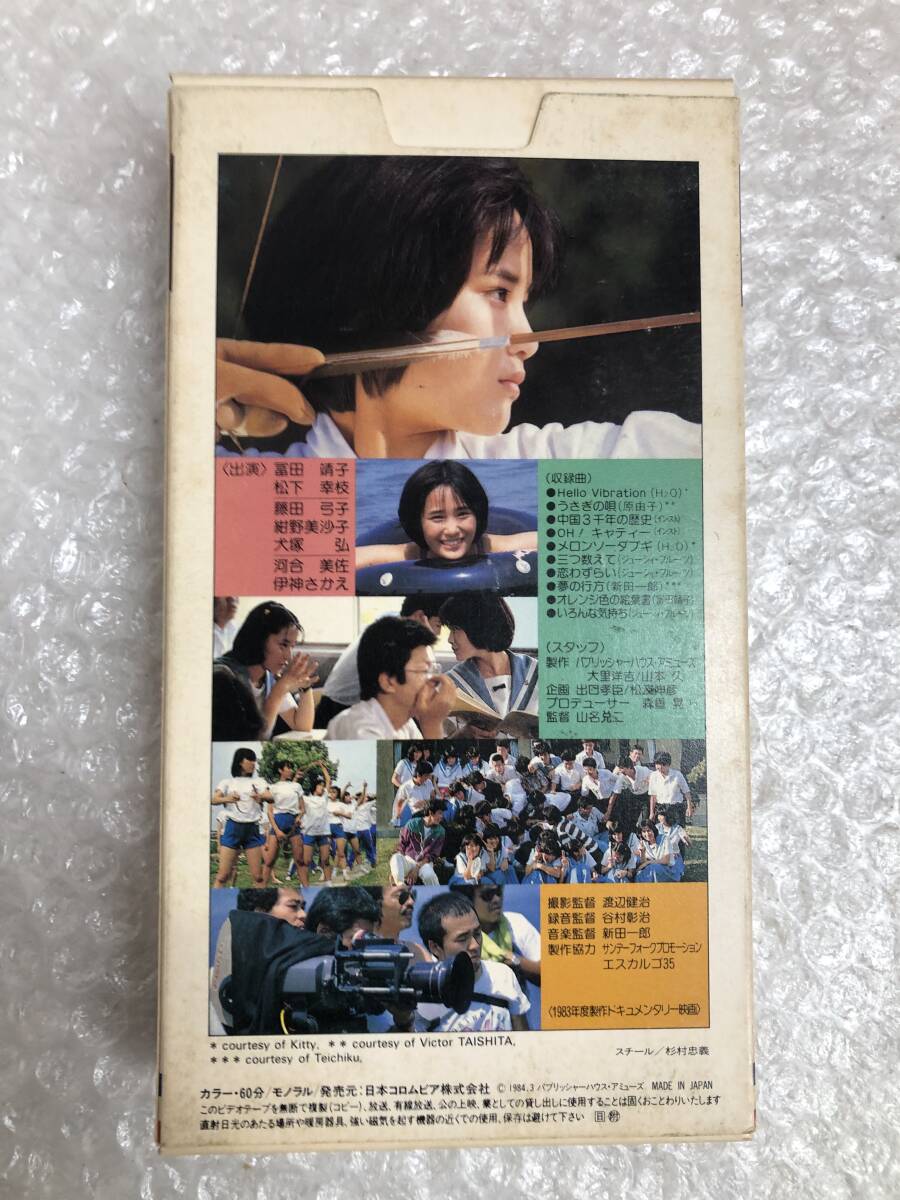 VHS ビデオテープ グッドバイ夏のうさぎ 富田靖子 もうひとつのアイコ十六歳 ☆中古品☆の画像2