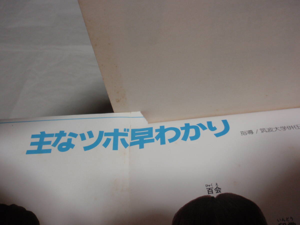 【送料無料】　独習ツボ療法　ツボ早わかりポスターつき　星虎男