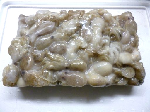 ## freezing ## super Special feed / freshness eminent!! octopus ocellatus economical octopus ocellatus 2kg