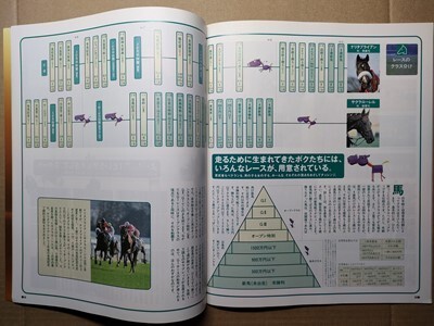 競馬 JRA 冊子 KEIBAカタログ 1997年 [ナリタブライアンとサクラローレル勝ち上がり比較 フラワーパークスプリンターズSゴール前拡大写真の画像1