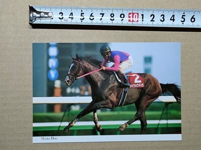 競馬 絵はがき JRA 2000年有馬記念出走馬ポストカード メイショウドトウ （オールカマー 的場均の画像1