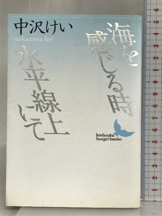 海を感じる時・水平線上にて (講談社文芸文庫) 講談社 中沢 けい_画像1