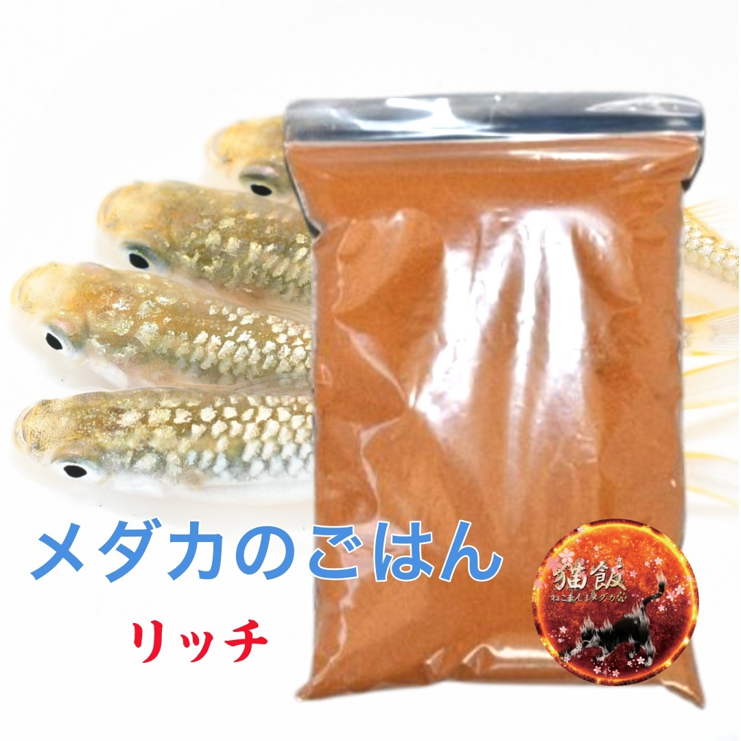 リッチB・２ｋｇ【猫飯舘山寺】最安値！食いつき抜群　　本島送料無料！科学飼料研究所 メダカ 金魚 カメ 熱帯魚 川魚　即日発送　_画像1