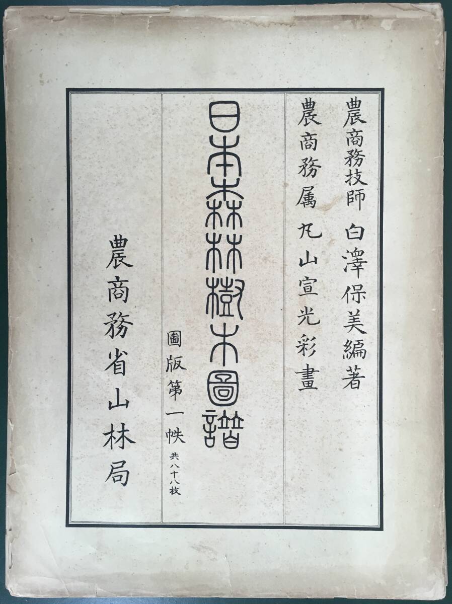 62500円 稀覯本!/[日本森林樹木図譜・第一秩・白澤保美編著 62500円 稀覯本!/[日本森林樹木図譜・第一秩・白澤保美編著