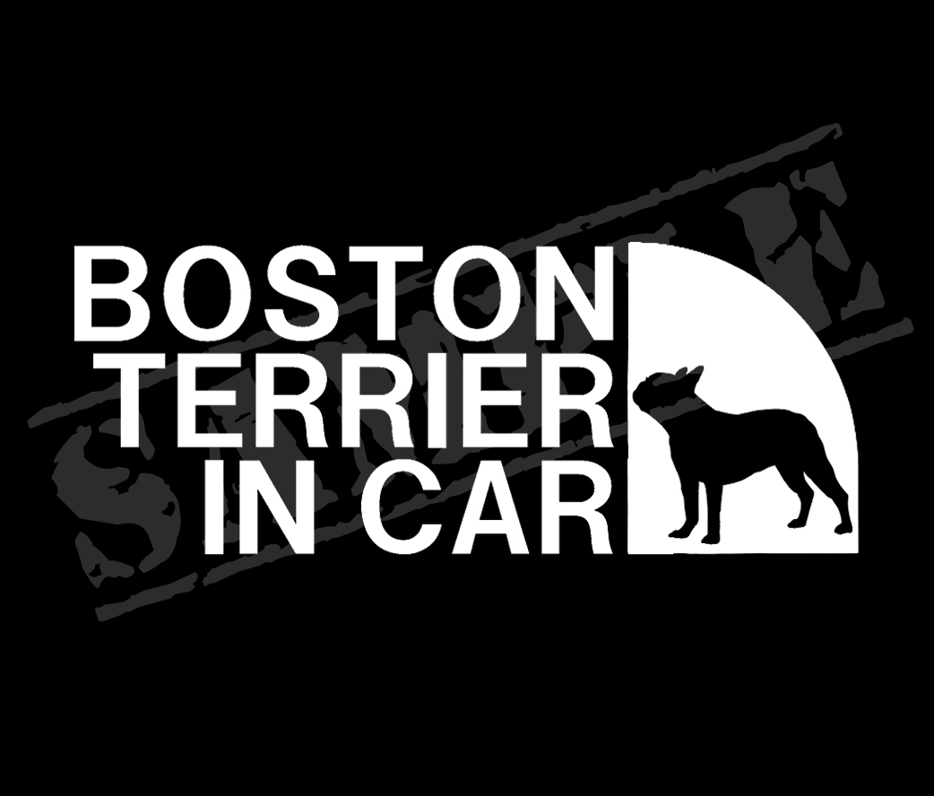 【追跡あり・ゆうパケット発送】　BOSTON TERRIER IN CAR パロディステッカー（ボストンテリア②）　7cm×17cm_画像1