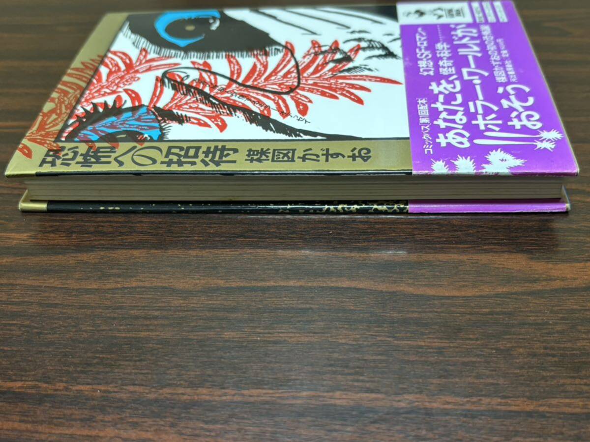 楳図かずお『恐怖への招待』河出書房新社　テープアト　巻末剥がしアトあり（写真以外にもあります。）_画像5