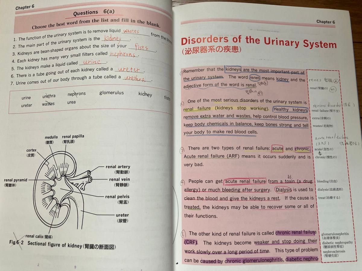 やさしい医学英語|Yahoo!フリマ(旧PayPayフリマ) やさしい医学英語|Yahoo!フリマ(旧PayPayフリマ)