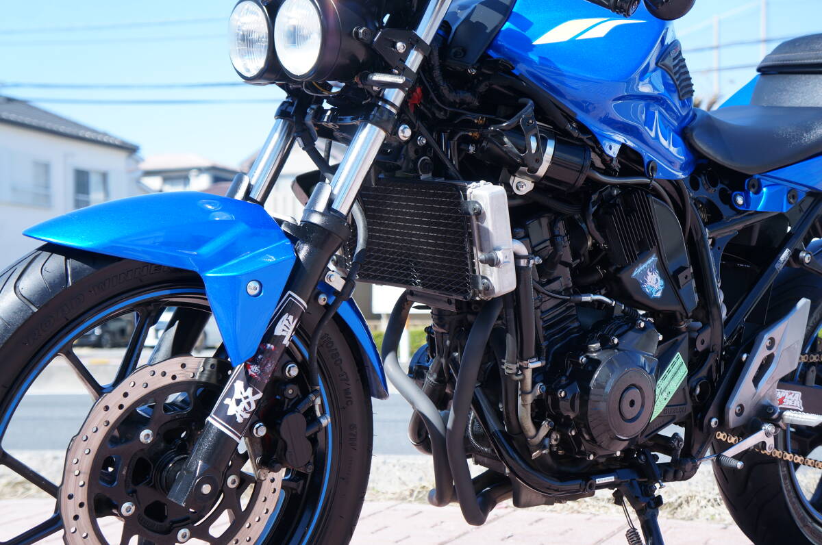 ◆◇配送のみ!! GSX 250R カスタム多数!! 外装状態良く走りも快調!! タイヤ前後山あり!! ニンジャ Z等!! 埼玉～関東近県即日自社配送可!!_画像6