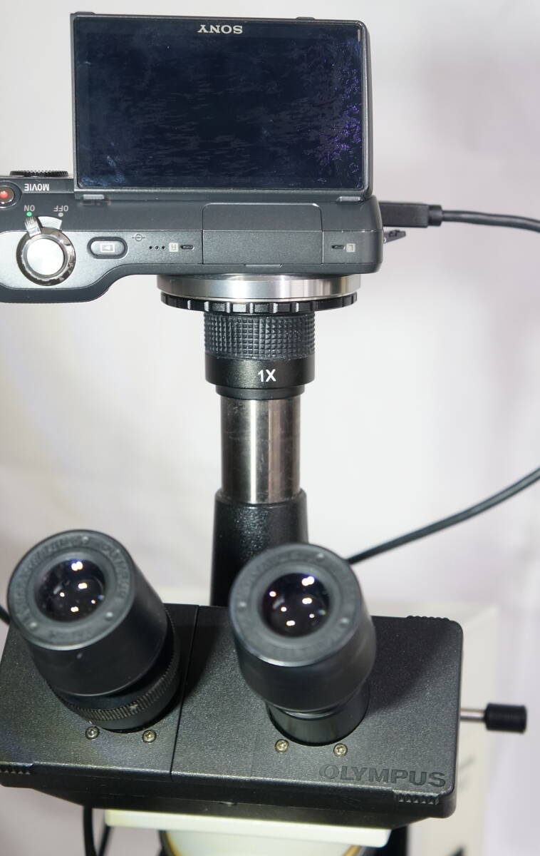 オリンパス CH30 偏光顕微鏡　ソニー1400万画素デジカメ、20.7インチ大型モニタ付属