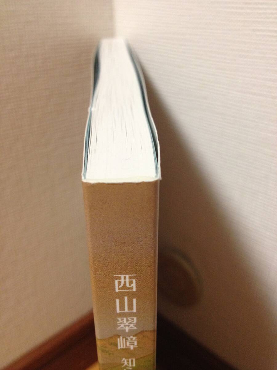 図録 西山翠嶂 知られざる京都画壇の巨匠 正誤表付き 海の見える 図録 西山翠嶂 知られざる京都画壇の巨匠 正誤表付き 海の見える
