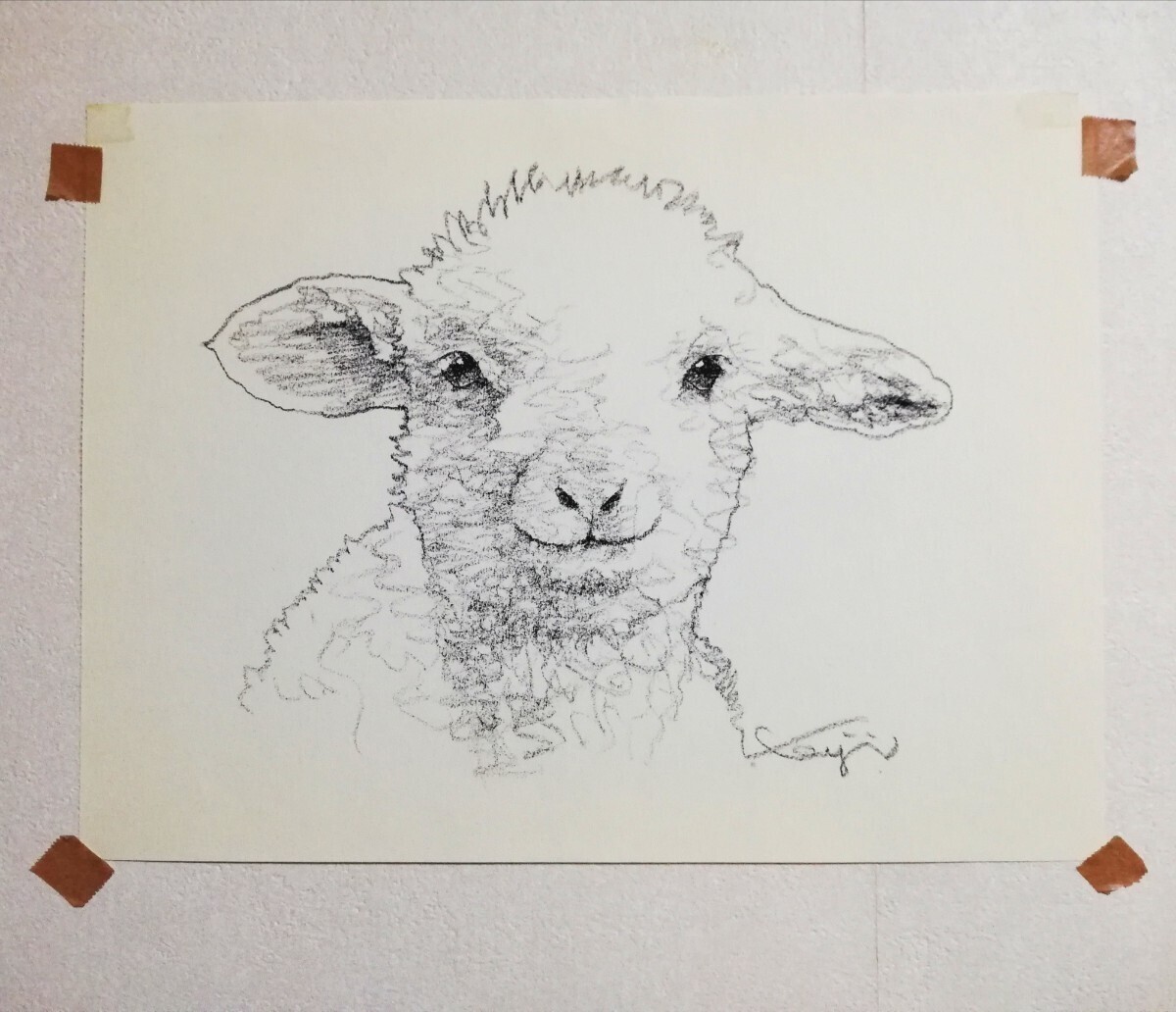 松原健治 ドローイング 原画「羊の赤ちゃん01」A4 の画像6