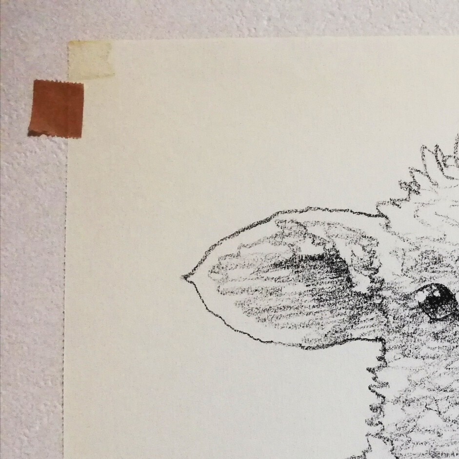 松原健治 ドローイング 原画「羊の赤ちゃん01」A4 の画像4