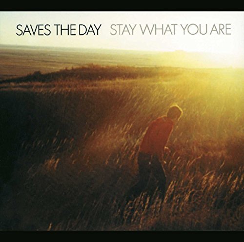 Stay What You Are(中古品)_画像1
