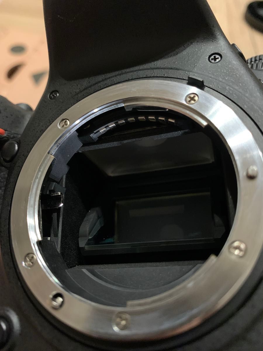 Nikon D750 シャッター回数45316|Yahoo!フリマ(旧PayPayフリマ) Nikon D750 シャッター回数45316|Yahoo!フリマ(旧PayPayフリマ)