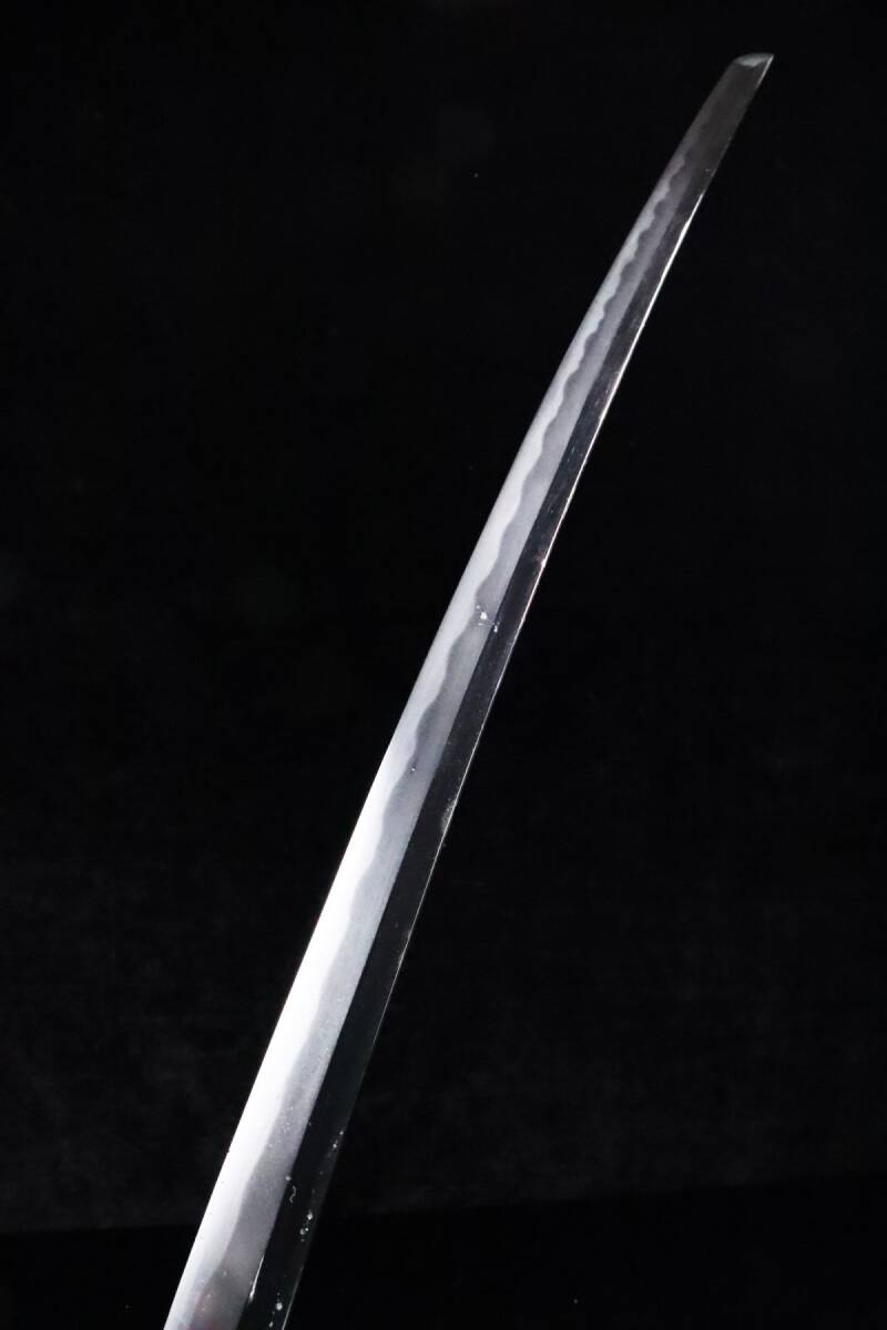 時代武具 旧日本陸軍刀 皇室用サーベル刀 刃長71.0cm 無銘 軍刀 旧家蔵出品[6275qtp]の画像3