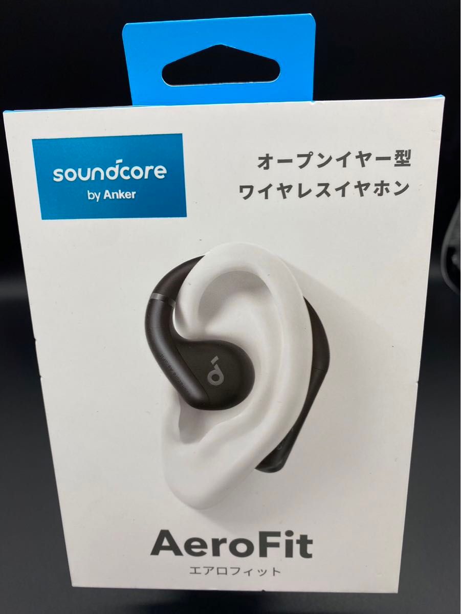 DRT クラッシュ9 low奥吉野鮎(艶消)Anker Soundcore エアロ DRT クラッシュ9 low奥吉野鮎(艶消)Anker Soundcore エアロ