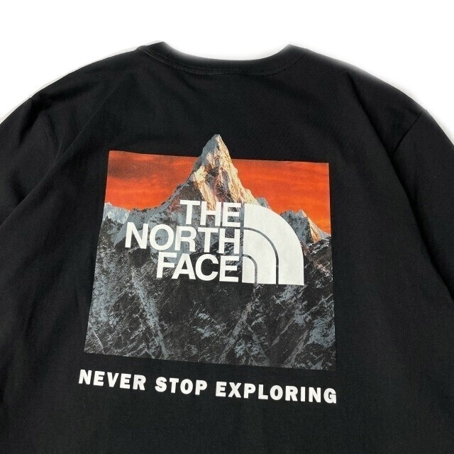 1円～!売切!【正規新品】THE NORTH FACE◆L/S BOX NSE TEE 長袖 Tシャツ ロンT US限定 ボックスロゴ バックプリント(M)黒 180902-20_画像4