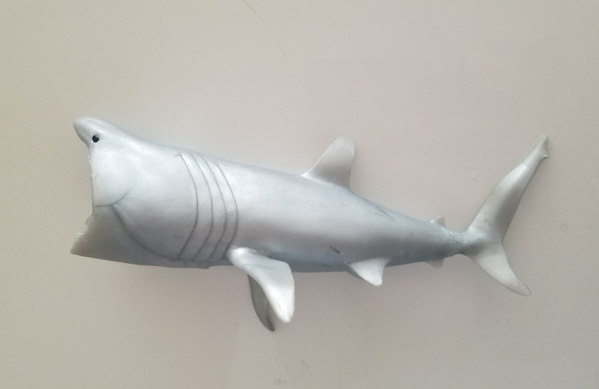 激レア！【銀のウバザメ】WHALES&coくじら&coビッグ　デアゴスティーニ　サメ　フィギュア　海の生き物_画像1