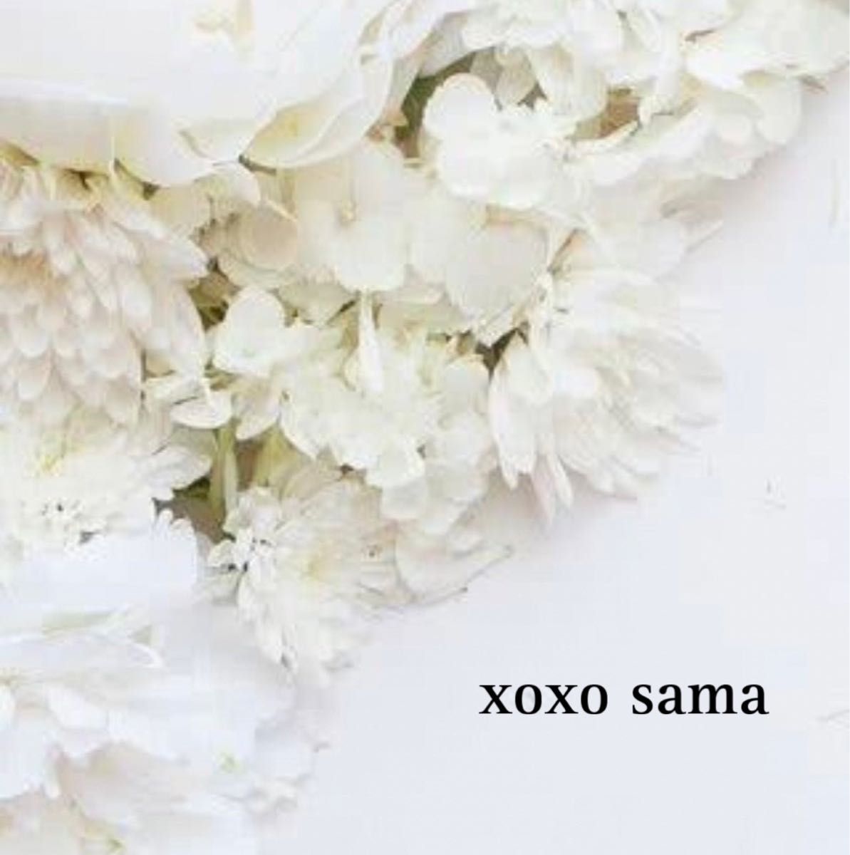 xoxo sama