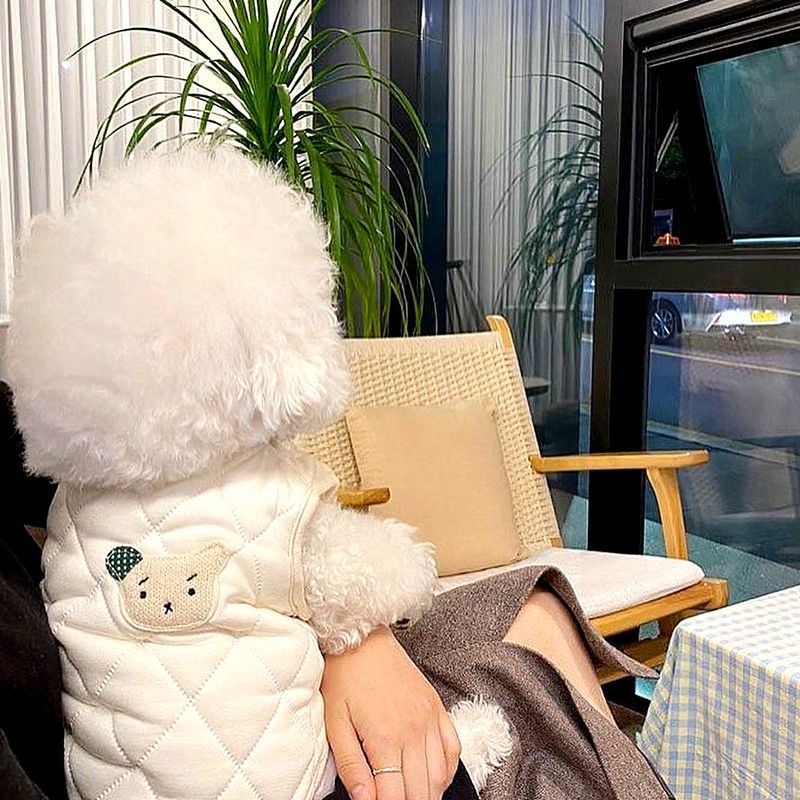 【訳あり】犬 服 ペット 犬の服 かわいい 小型犬 ドッグウェア ダウンベスト ホワイト 白 春 冬