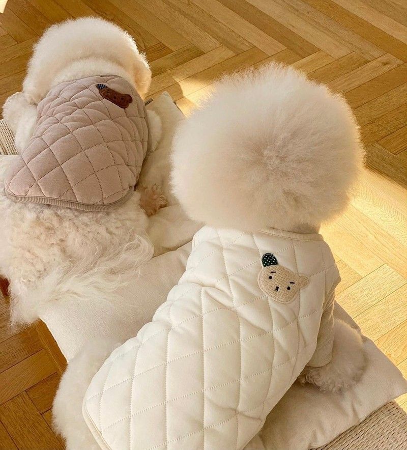 【訳あり】犬 服 ペット 犬の服 かわいい 小型犬 ドッグウェア ダウンベスト ホワイト 白 春 冬