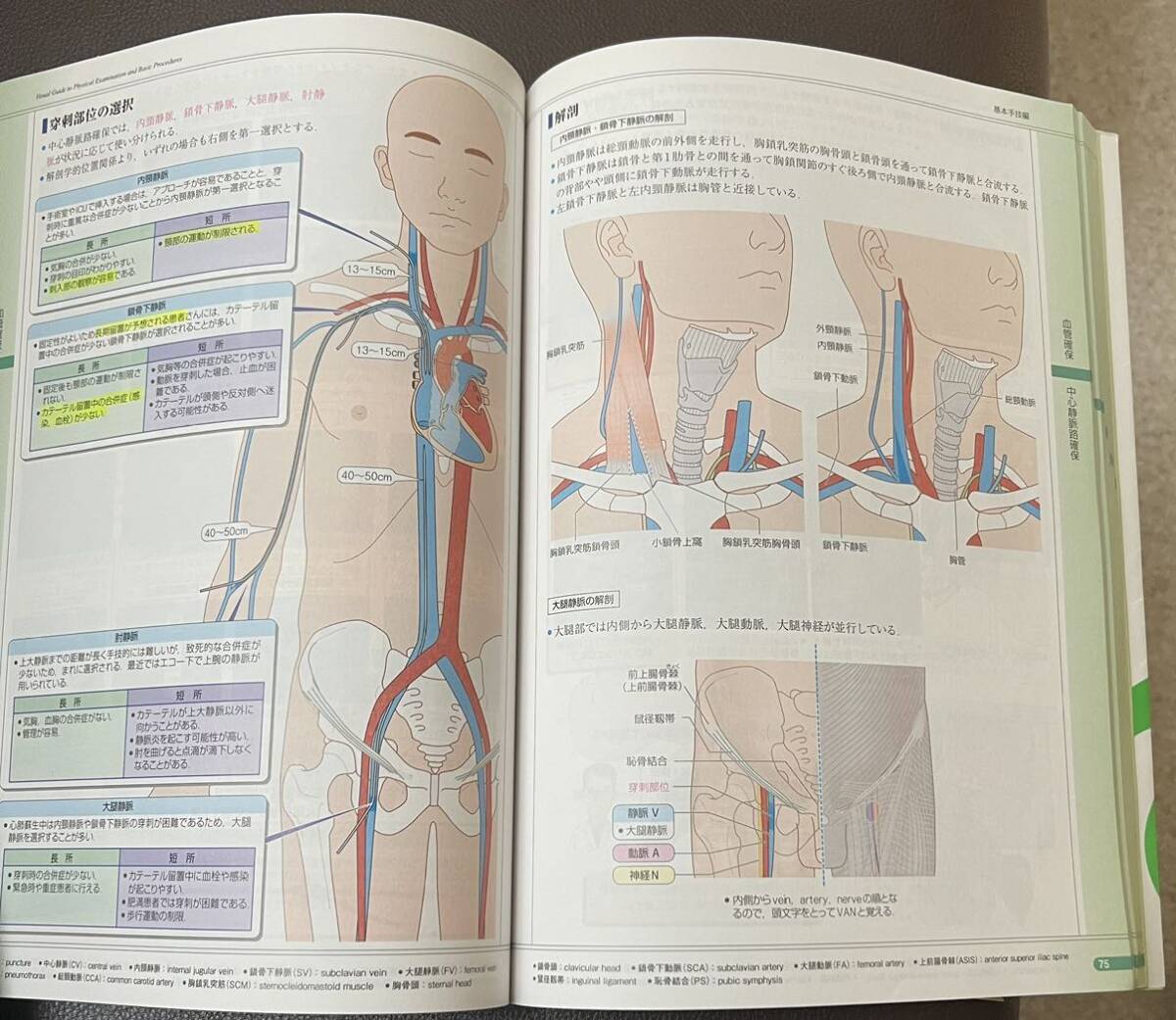 [ used ] examination . hand .....vol.1 no. 2 version, examination . hand .....vol.2