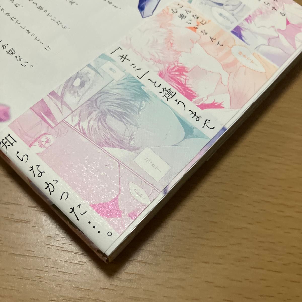 忘れられない恋をして/もちぱむ　組み合わせ自由2冊で500円