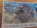 送料込み★新江ノ島水族館入場招待券　有効期限3/31　このチケットで新江ノ島水族館に１名様で無料で利用できます_画像2