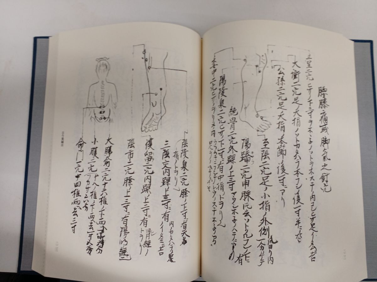 臨床実践 鍼灸流儀書集成／全6巻／計6冊まとめセットの画像4