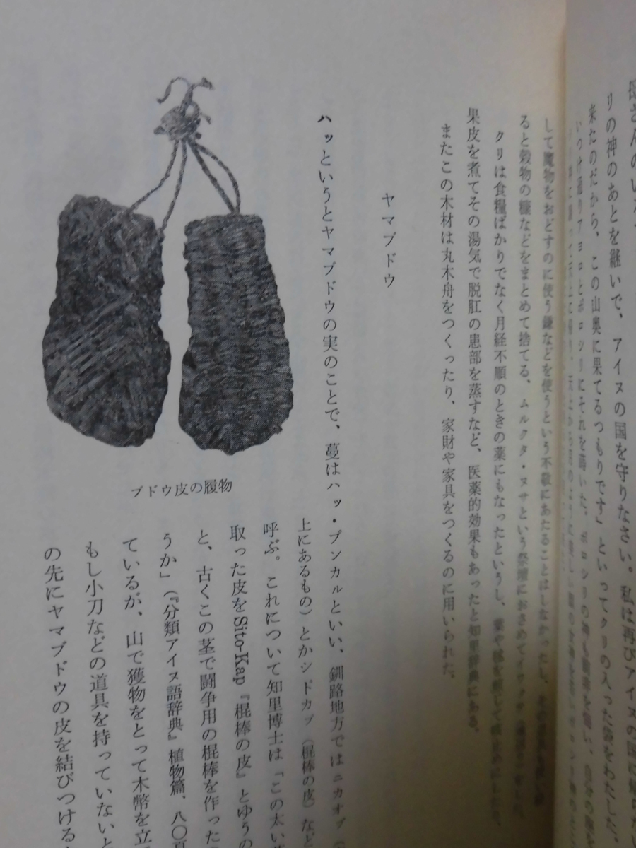 【P】コタン生物記I 樹木・雑草篇 更科源蔵・更科光 著 法政大学出版局 1977年発行 第2刷 アイヌ民俗[2]C0873_画像7