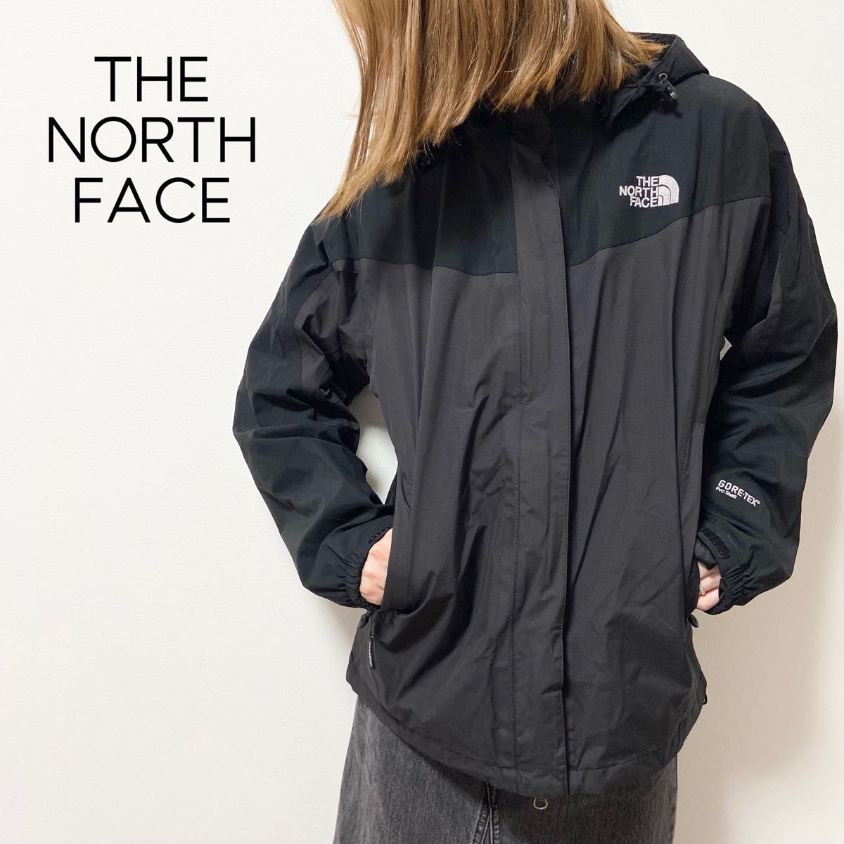 日本未入荷　海外限定モデル　THE NORTH FACE マウンテンパーカー　ジャンバー　GORE-TEX サミットシリーズ　L