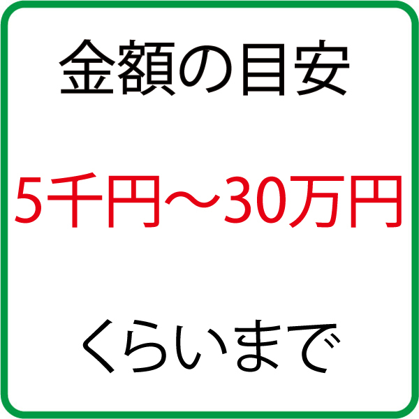 御祝い 用 金封 サクラ モモ おしゃれ かわいい お祝い 御入学 御祝 入学 出産 御祝い金封 御祝儀袋 単品販売_画像2