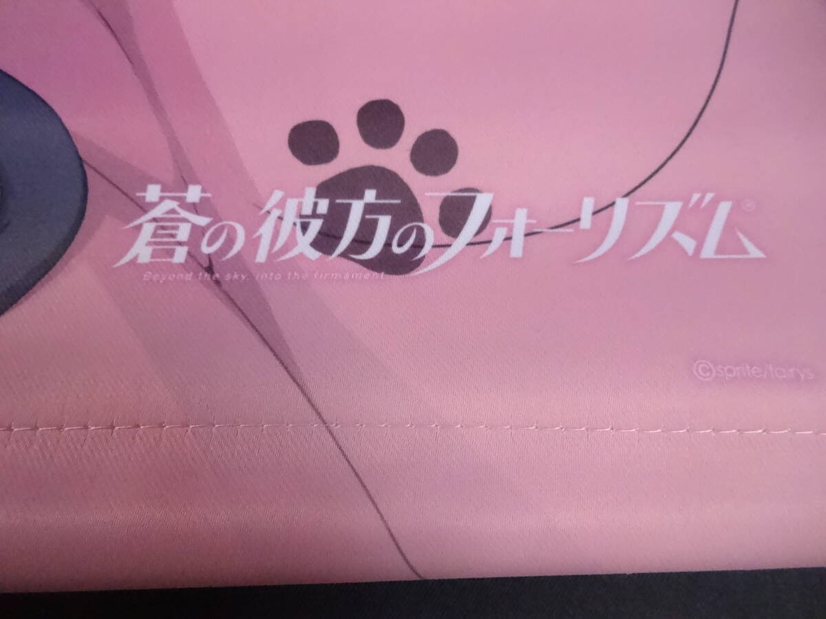 08/P314★有坂真白＆鳶沢みさき B2タペストリー 「蒼の彼方のフォーリズム」【タペストリーとのみ同梱可】★中古品_画像3