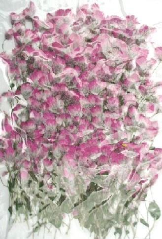 業務用 押し花　ロータンセ　蕾葉付き　ピンク 大容量 500枚ドライフラワー デコ レジン 封印