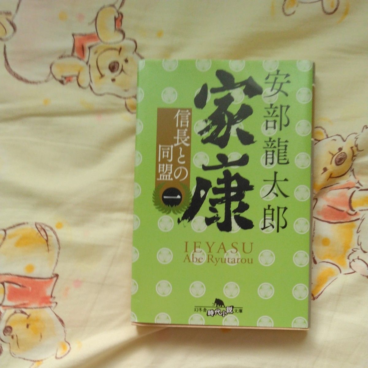 家康　１ （幻冬舎時代小説文庫　あ－７６－１） 安部龍太郎／〔著〕