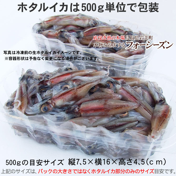 即決【3月下旬4月中旬頃から予約順に出荷】ホタルイカ2024年新物 6kg(500ｇ× 12p)【冷凍】鳥取県産ほたるいか蛍烏賊/他同梱不可_画像2