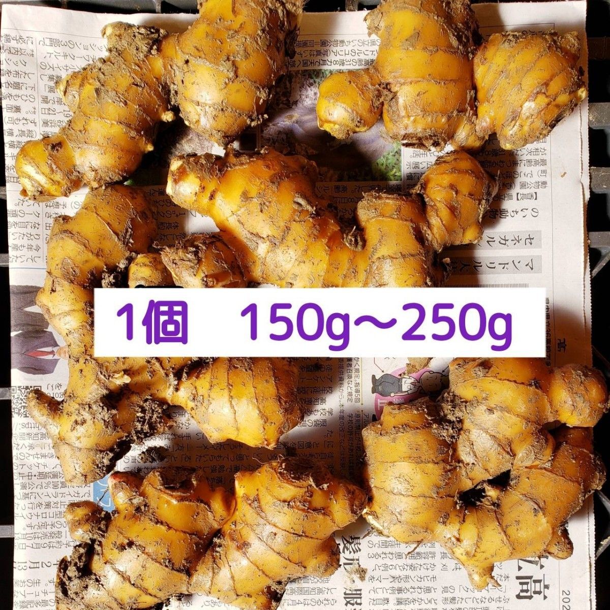 高知県産種生姜s【2kg】|Yahoo!フリマ(旧PayPayフリマ) 高知県産種生姜s【2kg】|Yahoo!フリマ(旧PayPayフリマ)