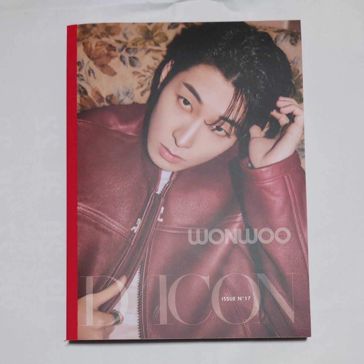 SEVENTEEN D/ICON ISSUE N°17 wonwoo:B type(ポストカード付)