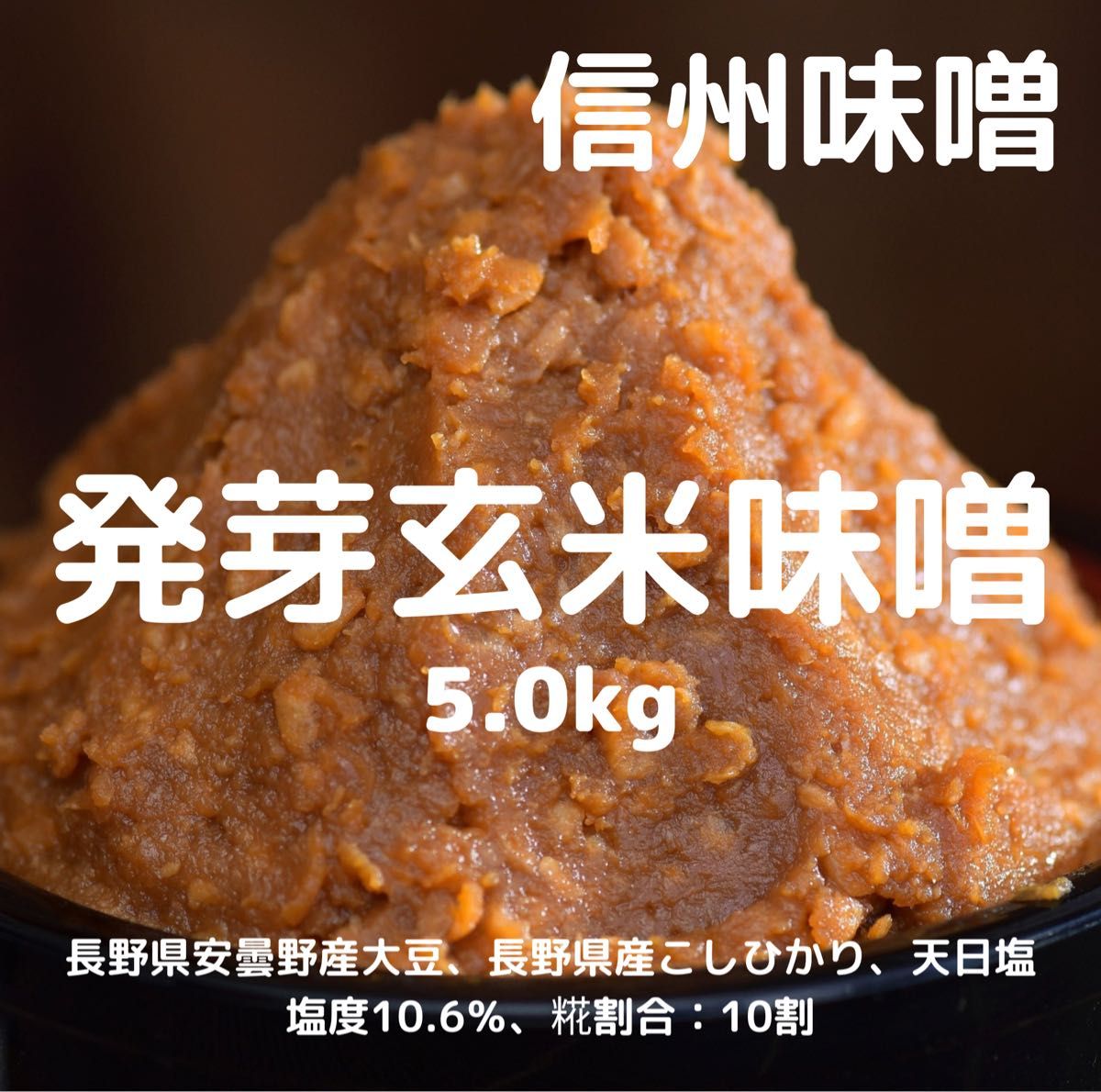 信州味噌 発芽玄米味噌 5.0kg 無添加 天然醸造 木桶仕込み 天日塩