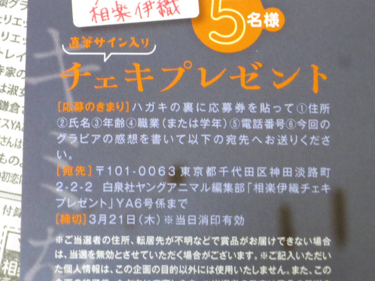 ヤングアニマル6号　アンケートプレゼント応募用紙　相楽伊織　小森ほたる　サイン入りチェキ応募券_画像4