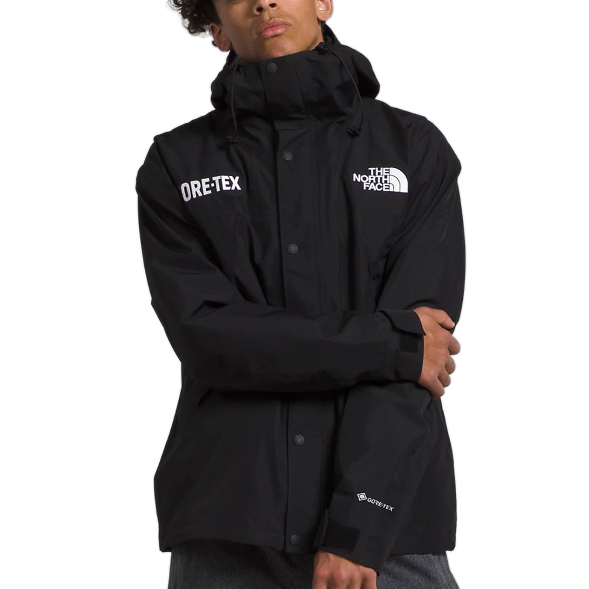 【新品本物 海外購入】THE NORTH FACE ノースフェイス■GTX MOUNTAIN JACKET■BLACK/S■ゴアテックス マウンテンジャケット 海外限定