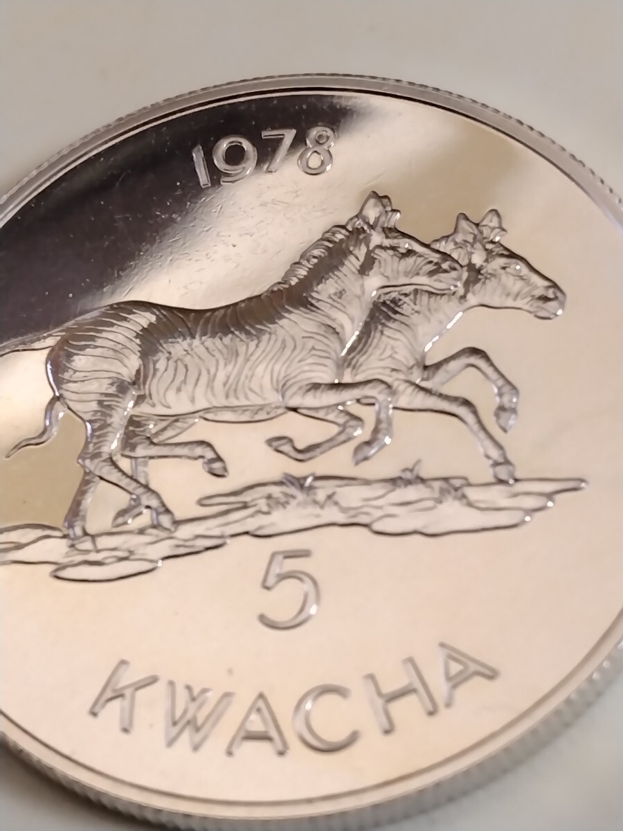 マラウイ 1978 ５クワチャ銀貨 Conservation−Zebraの画像5
