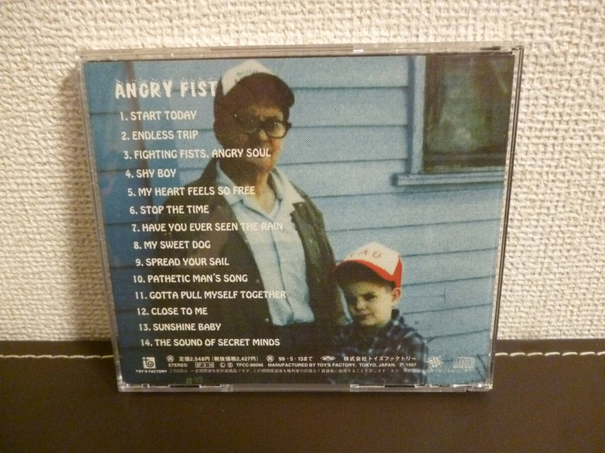 １円スタート・ジャパメタ・国内盤CD・HI-STANDARD / ANGRY FIST・ ハイ・スタンダード / アングリー・フィスト・難波章浩・横山健・恒岡章_画像3